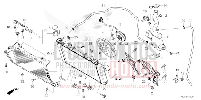 RADIATOR/RESERVE TANK for Transalp 750 ROSS WHITE (NH196) from 2023